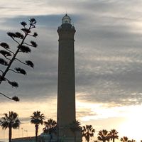 TikTok Account - https://p16-amd-va.tiktokcdn.com/tos-maliva-avt-0068/19b44d780feed215316ad5f133979475~tplv-tiktokx-cropcenter:200:200.jpeg