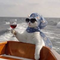 TikTok Account Photo