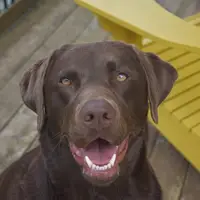 TikTok Account Photo