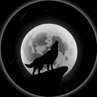 TikTok Account Photo