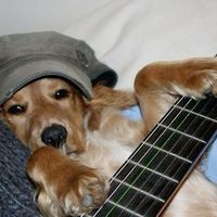 truereligionqueen0_0