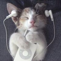 Sound image
