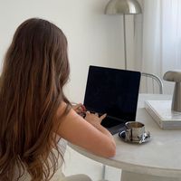 stefania_network