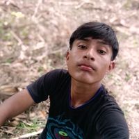 lewisgualna2