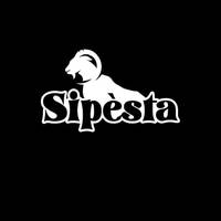 TikTok Account - sipesta_atlevel