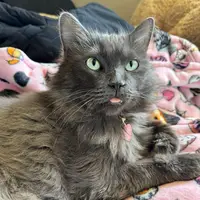 blepqueenellie