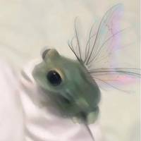 TikTok Account - https://p16-amd-va.tiktokcdn.com/tos-maliva-avt-0068/1fcfb5e51176c0fb6c9c68a256580744~tplv-tiktokx-cropcenter-q:200:200:q70.jpg