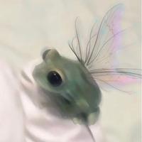 Sound image