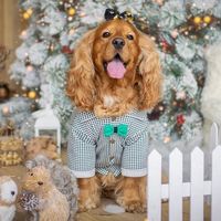 TikTok Account - https://p16-amd-va.tiktokcdn.com/tos-maliva-avt-0068/20186354c8d2da3e09d6ec0a36e6a121~tplv-tiktokx-cropcenter:200:200.jpeg