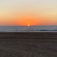 alondra_2.2