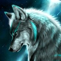 TikTok Account - https://p16-amd-va.tiktokcdn.com/tos-maliva-avt-0068/22ff4637d8197d8875cd6ec51345e7dd~tplv-tiktokx-cropcenter:200:200.jpeg