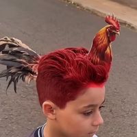 TikTok Account - https://p16-amd-va.tiktokcdn.com/tos-maliva-avt-0068/23471c29e3f484a88d5eba4ea4089997~tplv-tiktokx-cropcenter:200:200.jpeg