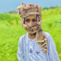 الصوت الأصلي