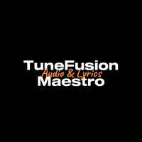 TikTok Account - tunefusionmaestro