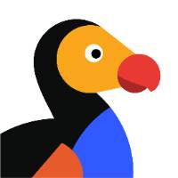 thedodo