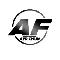TikTok Sound - original sound - africnum