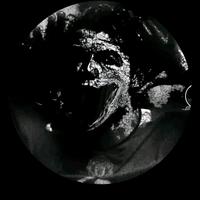 original sound - gerardo.velasquez26