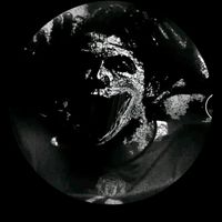 TikTok Account - https://p16-amd-va.tiktokcdn.com/tos-maliva-avt-0068/25bf09b2fc22ef8abdbafa1f565da5a2~tplv-tiktokx-cropcenter:200:200.jpeg