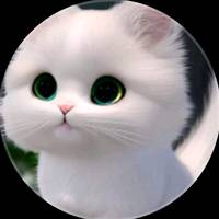 TikTok Account Photo