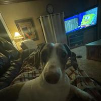 original sound - __duckiez__