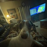 TikTok Account - https://p16-amd-va.tiktokcdn.com/tos-maliva-avt-0068/28332c02b7747c6cd8497c014f1d22ec~tplv-tiktokx-cropcenter:200:200.jpeg