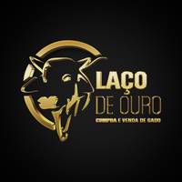 corretoralacodeouro