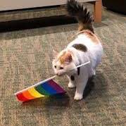 (=^ェ^=) - original sound - _.em0ji._.cat._