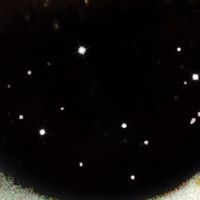 TikTok Account - https://p16-amd-va.tiktokcdn.com/tos-maliva-avt-0068/2a12c51bd4e51344b16770c751a26e79~tplv-tiktokx-cropcenter:200:200.jpeg