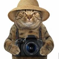 original sound - ppcuydelascasas