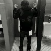 ant_2trim