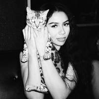 TikTok Account - https://p16-amd-va.tiktokcdn.com/tos-maliva-avt-0068/2bc8a0a73a3dc1026d05a7aa2bdc08ac~tplv-tiktokx-cropcenter-q:200:200:q70.jpg