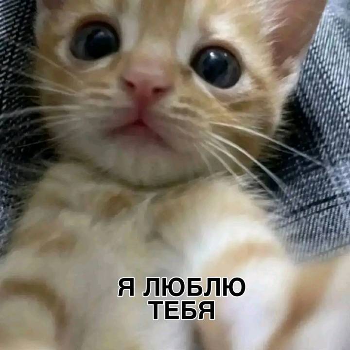 sofochkkk