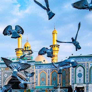 adil_jan512