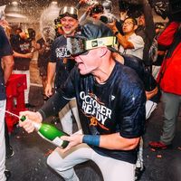 majestic_tiger_baseball