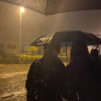 TikTok Account - https://p16-amd-va.tiktokcdn.com/tos-maliva-avt-0068/2e1ca477b2a44071b491f3d2780c3f75~tplv-tiktokx-cropcenter:200:200.jpeg