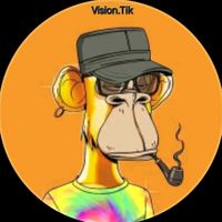 vision.tik