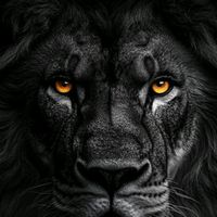 TikTok Account - https://p16-amd-va.tiktokcdn.com/tos-maliva-avt-0068/2fed77400c66a4338c219684216aa616~tplv-tiktokx-cropcenter:200:200.jpeg