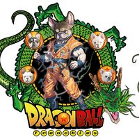 dragonball_frenchbulldog