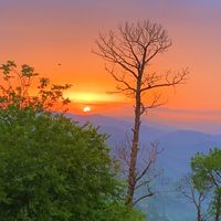 TikTok Account - https://p16-amd-va.tiktokcdn.com/tos-maliva-avt-0068/30de3a4d70c2658d0e91b5c24fd79803~tplv-tiktokx-cropcenter:200:200.jpeg