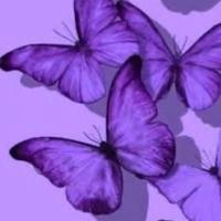 TikTok Account - https://p16-amd-va.tiktokcdn.com/tos-maliva-avt-0068/322d446a4b345f4848bd6b443b54a647~tplv-tiktokx-cropcenter:200:200.jpeg