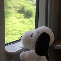 TikTok Sound - gata only remix