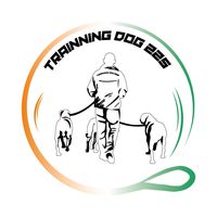 training_dogg_225.off