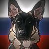 НО-Ирма - @grrman_shepherd_irma - TikTok