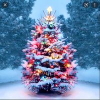 TikTok Account - https://p16-amd-va.tiktokcdn.com/tos-maliva-avt-0068/36d0f010a4f642f57aec1168b40e6d84~tplv-tiktokx-cropcenter:200:200.jpeg