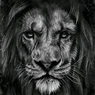 TikTok Account - https://p16-amd-va.tiktokcdn.com/tos-maliva-avt-0068/38f78b9153b4044a7dcea23713531bab~tplv-tiktokx-cropcenter:200:200.jpeg