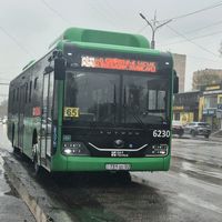 tamik_busses