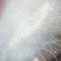 jakeygyllenhaallover