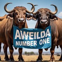 TikTok Account - https://p16-amd-va.tiktokcdn.com/tos-maliva-avt-0068/39f93eac4ffdb06e0c52844ca989991b~tplv-tiktokx-cropcenter:200:200.jpeg