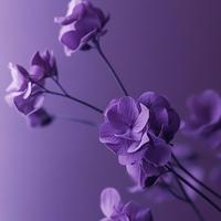 original sound - nalelian.nkane