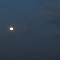 TikTok Account - https://p16-amd-va.tiktokcdn.com/tos-maliva-avt-0068/3ac464e5ef76d92f1bab60be71021ee9~tplv-tiktokx-cropcenter:200:200.jpeg